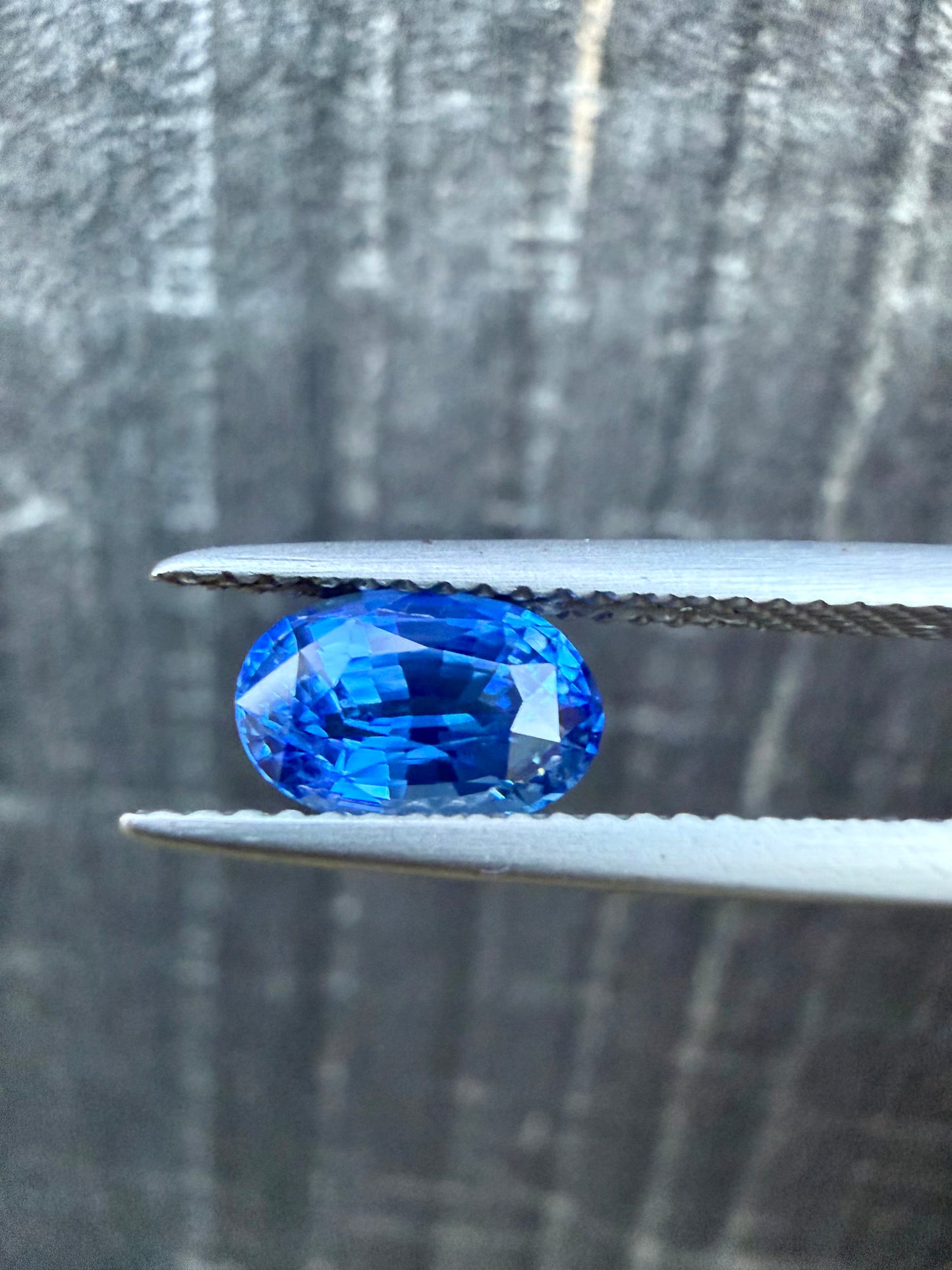 Ceylon Royal Blue Sapphire - 1.55 Crt | Oval Cut | Heated