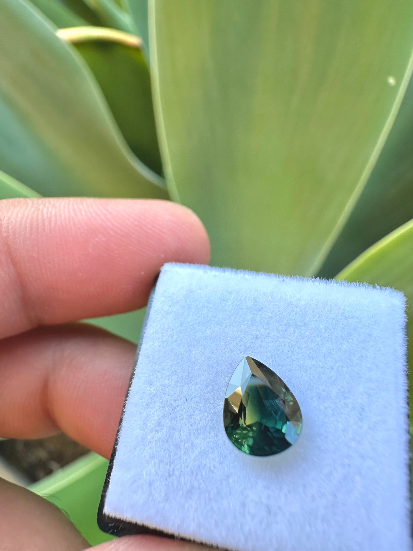 Australian Parti Sapphire - 1.88 Carat - Pear Cut - Heated