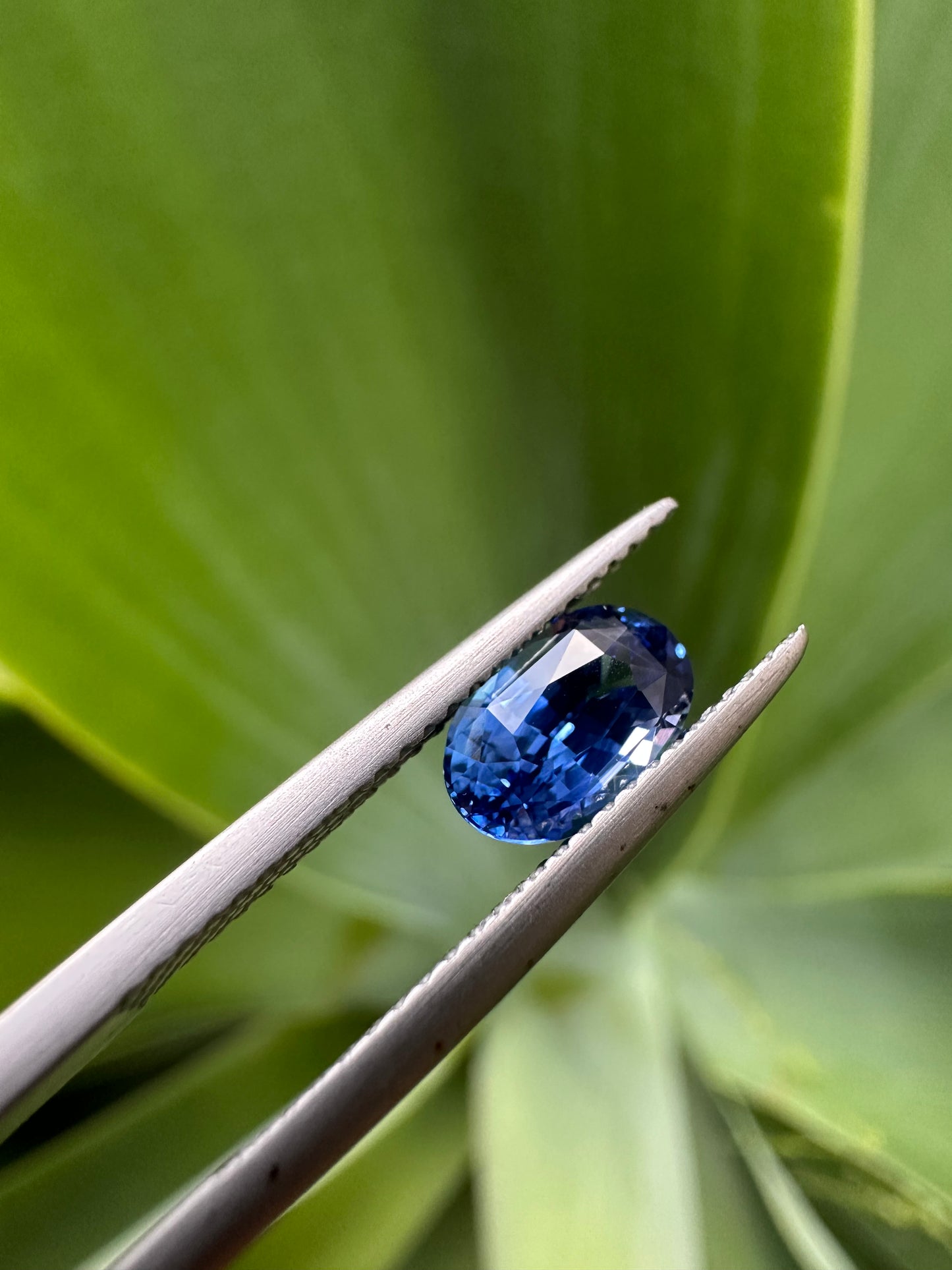 Ceylon Royal Blue Sapphire - 1.55 Crt | Oval Cut | Heated