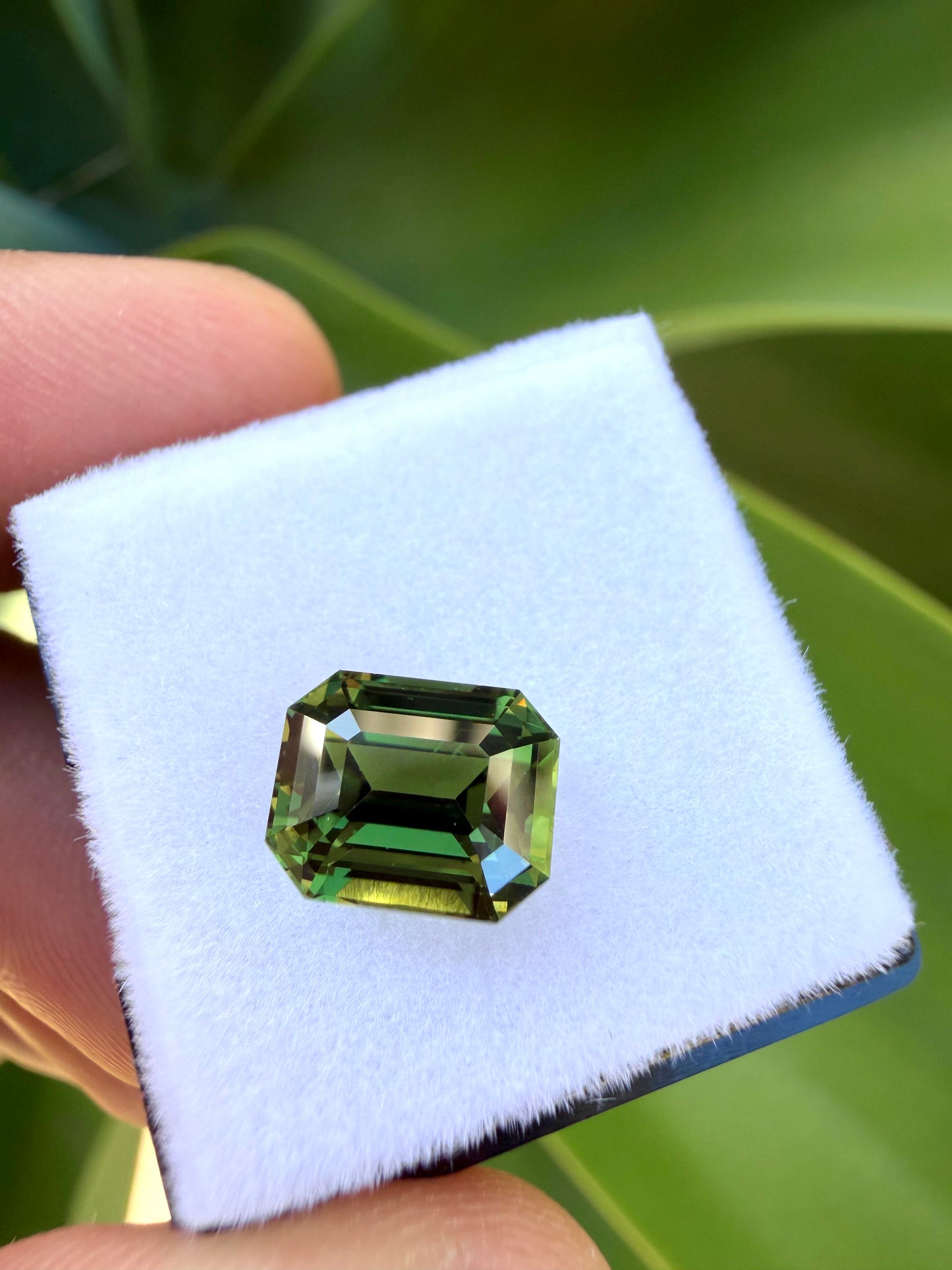 Natural Australian Green Sapphire - 3.12 Carat | Unheated | Loop Clean