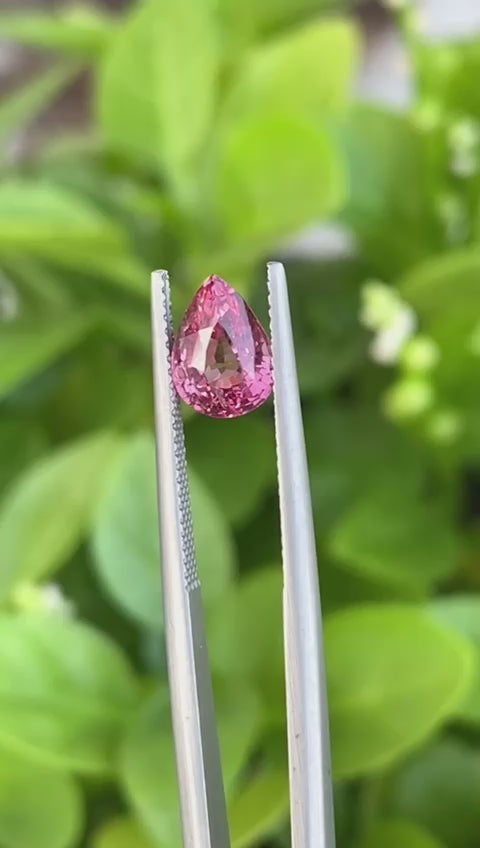 Natural Vivid Pink Spinel - Mahenge Tanzania - 2.04 Carat - Pear